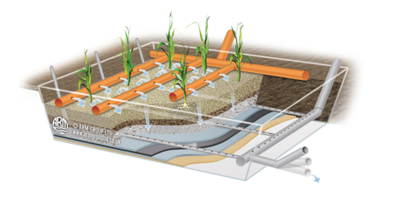 Diagram of reed beds
