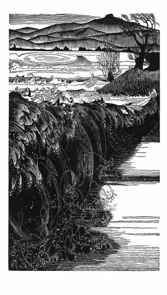 Wood engraving called Severn Bore by Sarah van Niekerk